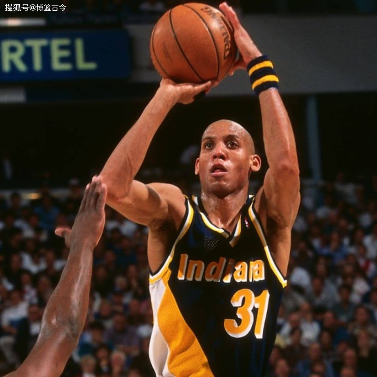 理解安赛龙 理解安赛龙